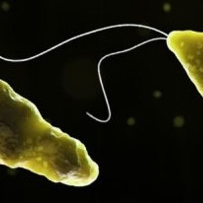 Kerala reports sixth death from rare brain-eating infection as 10 patients remain under treatment