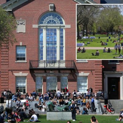 What that Brown LBGTQ+ poll really says about academia today