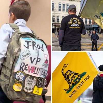Attacking ‘Don’t tread on me’ is latest dunderhead progressive…