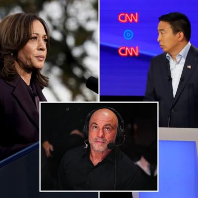 Kamala Harris committed ‘political malpractice’ by not going on Joe…
