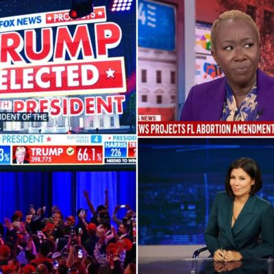 MSNBC ratings plunge after Trump election victory — as more than…