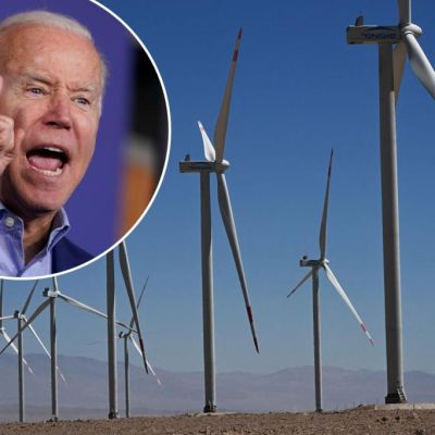 How the government is hurting environmentalism