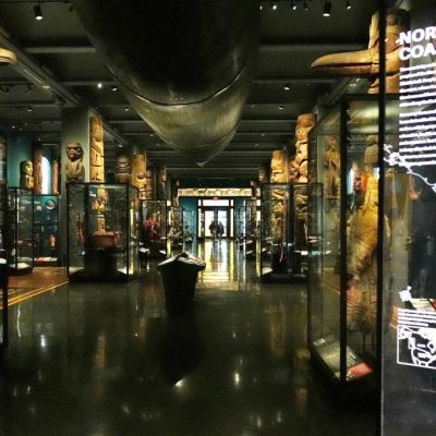 I spent a year in NYC’s museums  — and found them drowning in…