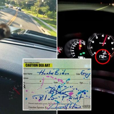 Hunter Biden’s shrink tells the truth with ‘high’ art