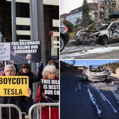 Democrats lit the 'assassination culture' fuse -- now their silence...