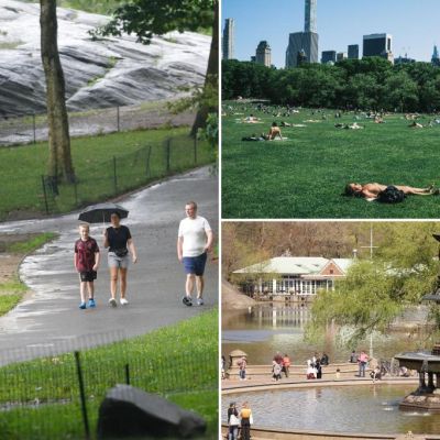 NYC (surprise!) teaches that who governs least governs best