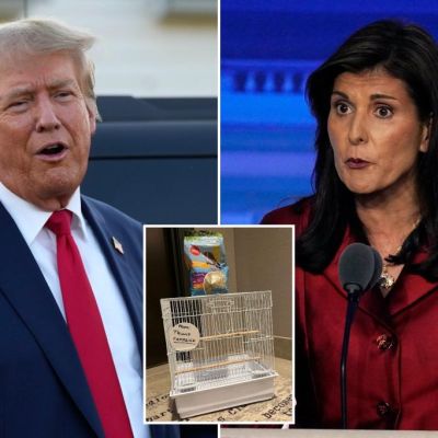 Trump’s lame and harebrained ‘Birdbrain’ bullying of Nikki Haley