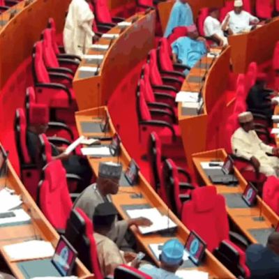 Nigerian Senate to Screen Christopher Musa as Defence Minister