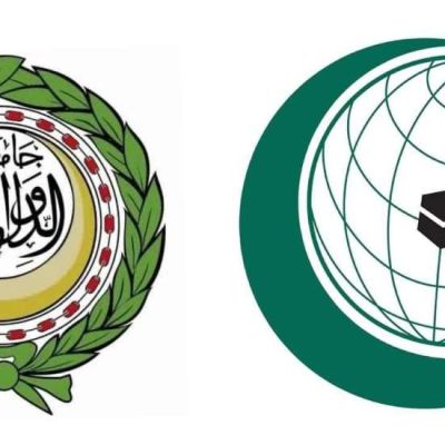 Egypt, Arab, Muslim States Condemn Israeli Annexation Bills, Welcome ICJ Opinion on Occupation | Sada Elbalad