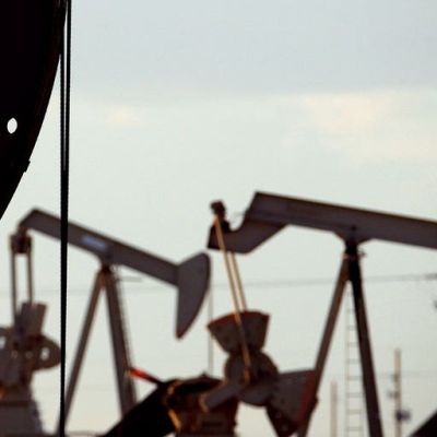 Save the whales? More like kill US energy production