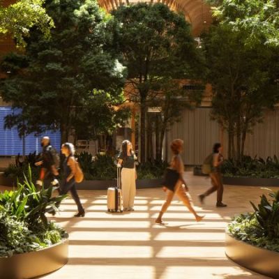 This US airport now has a forest growing inside it