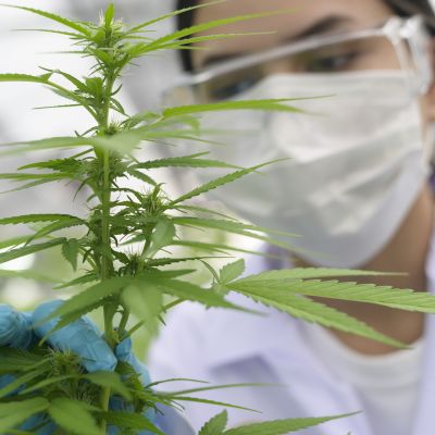 Is This News a Game Changer for Tilray? | The Motley Fool