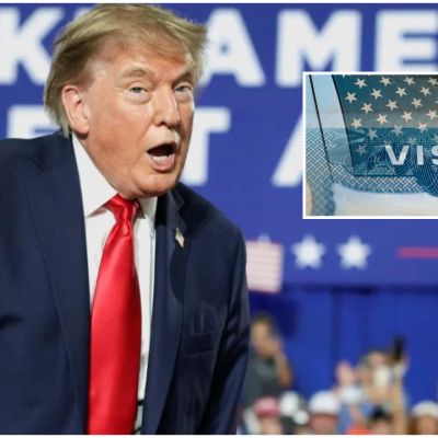 US halts visa appointments globally amid Donald Trump’s immigration crackdown – THE LOCAL REPORT ARTICLES
