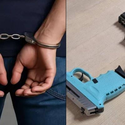 Pizza, meth & guns: Indian national illegally living in US charged with drug trafficking