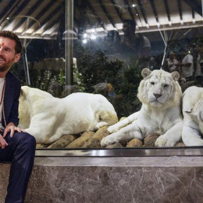 Lionel Messi at Vantara — Football icon’s wildlife visit steals the spotlight after GOAT India Tour | See Pics | Football News – The Times of India