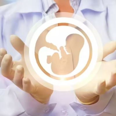 WHO urges countries to make fertility care affordable and accessible | India News – The Times of India