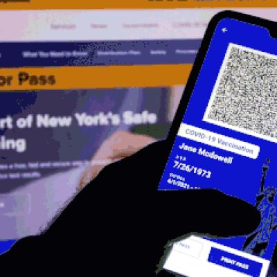 Disgrace: NY’s $64M Covid app padded consultant pockets with tax…