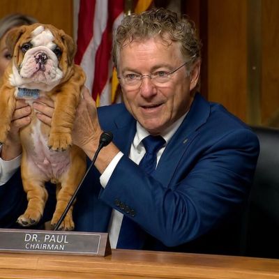 Congress Demands Fauci Explain Why Puppies Are So Cute