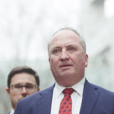 Barnaby Joyce quits Nats, rumours he may succeed Hanson as One Nation leader