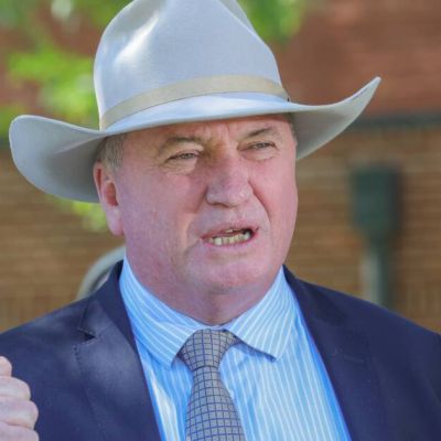 One Nation’s housing policy confuses MPs. So what are they proposing?