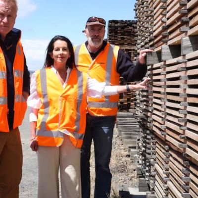 Death by stealth: federal laws will kill off native forestry, Premier says