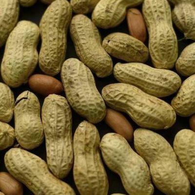 Peanut butter loving babies are licking allergies