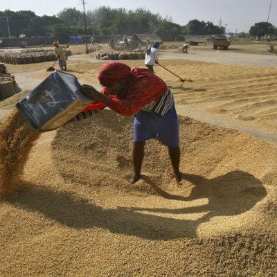 Trump warns India of new tariffs over rice dumping claims. What does the data reveal?