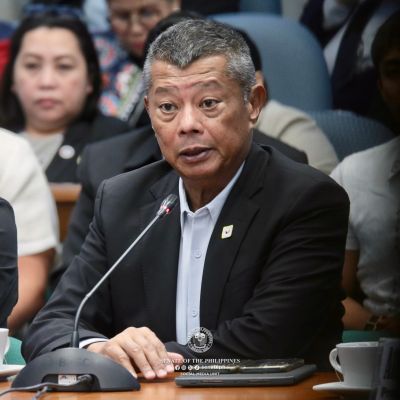 Boying Remulla appointed as new Ombudsman