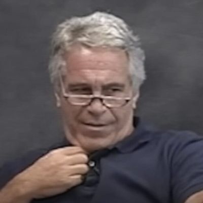 ‘Dumb bastards’: Dems ALIGN with Jeffrey Epstein to own Trump