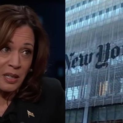 New York Times pops the Kamala bubble: 'Joy is not a strategy'