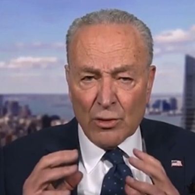 Schumer slip-up exposes Dems as culprits behind GOP town hall disruptions