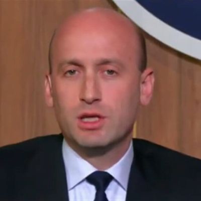 Stephen Miller: Biden admin 'devised a scheme' to fly in illegals, give them access to vote