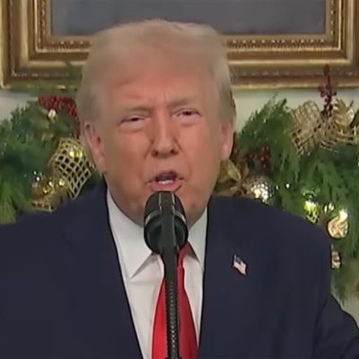 Trump trolls Epstein-loving Democrats: ‘Enjoy what may be your last Merry Christmas!’
