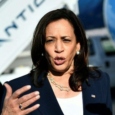 Harris failed to combat ‘root causes’ of illegal immigration, former Border Patrol union chief says