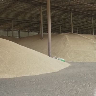 South Dakota minerals expert weighs in on Ukraine proposal