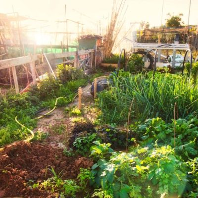 On Earth Day, sacrifice your pessimism, not your progeny, to save the…