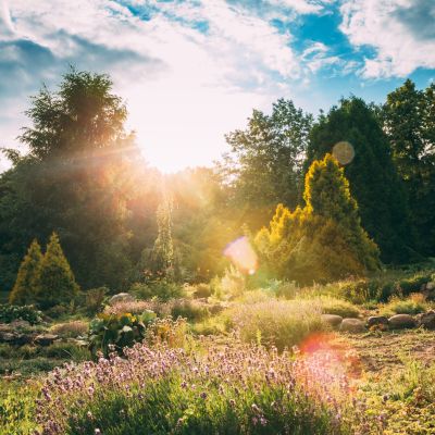 2025 on course to be joint-second warmest year