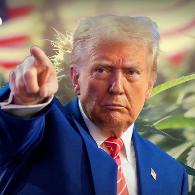 Trump signs order to ease US marijuana regulations, sparking industry hopes