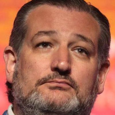 ‘Back on his heels’ Ted Cruz changing his tune as re-election race tightens: report