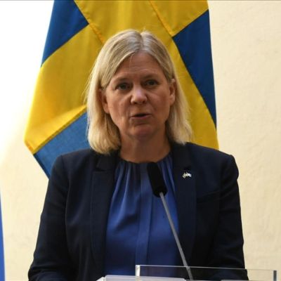 Sweden’s ex-premier says troops could be sent to Greenland to support Denmark