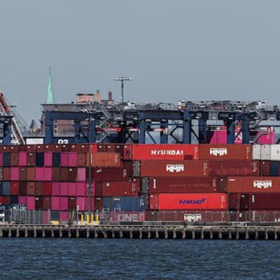 India-New Zealand FTA can reduce China’s grip on NZ imports, opens big export opportunity for India: GTRI