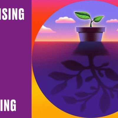 Winning Marketing Strategies From the Top Firms of 2024