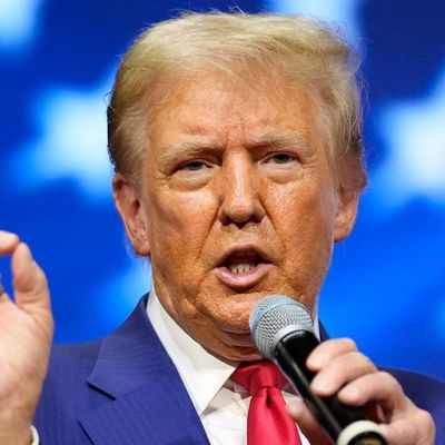 DAVID MARCUS: Gen Z men are fed up with wokeism. They are ready to bring back Trump