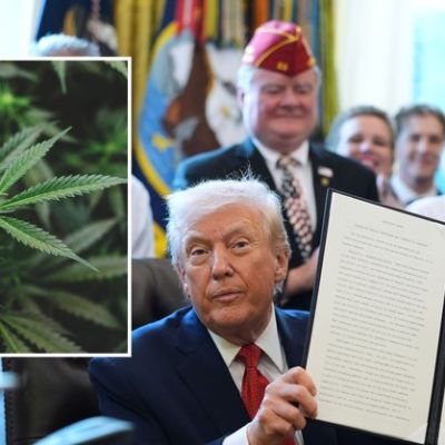 Eagle Forum, Alabama Medical Cannabis Association react to Trump…