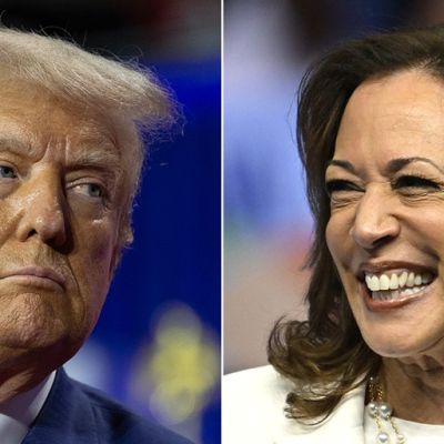 Trump outperforming 2020 support among Hispanics, who prefer him on immigration, poll shows