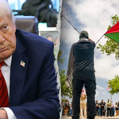 The Trump Effect: Reflections on how academic life has improved for a Jewish professor