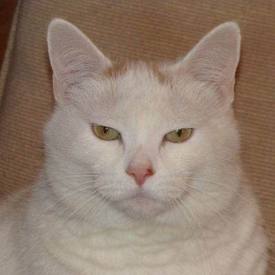 Balloon Juice – It’s Up To Us Now (as it always is!)