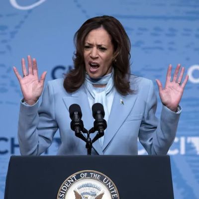 Uncommitted Movement refuses to back Harris, hurting her in Michigan – Washington Examiner