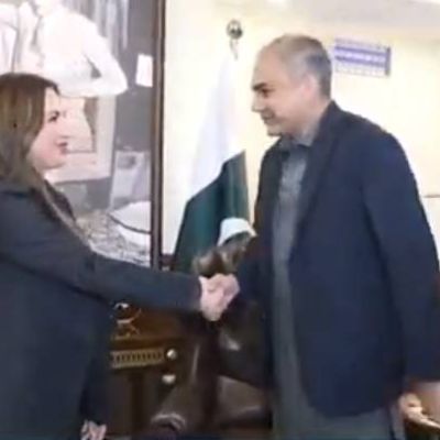 US envoy Baker meets Mohsin Naqvi; expresses sympathy over flood losses