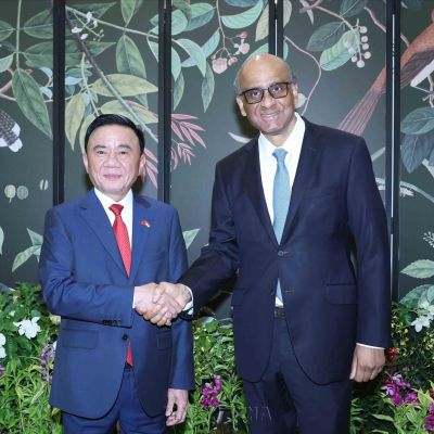 Key Vietnamese leader meets Singaporean President